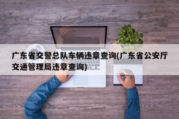 广东省交警总队车辆违章查询(广东省公安厅交通管理局违章查询)